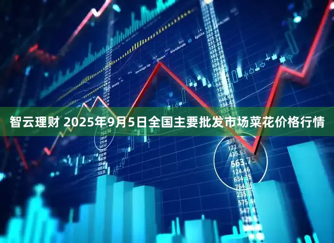 智云理财 2025年9月5日全国主要批发市场菜花价格行情