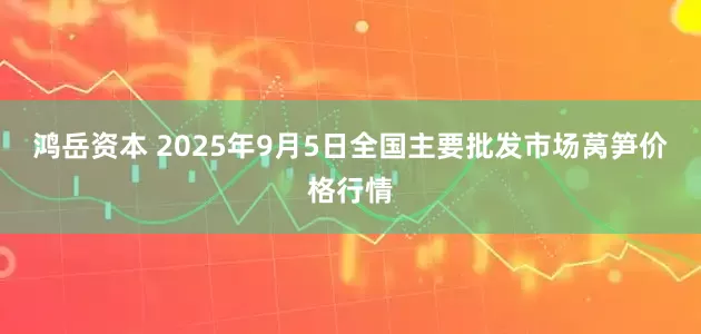 鸿岳资本 2025年9月5日全国主要批发市场莴笋价格行情