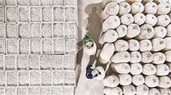 天成配资 重庆黔江：晚秋蚕茧入库忙