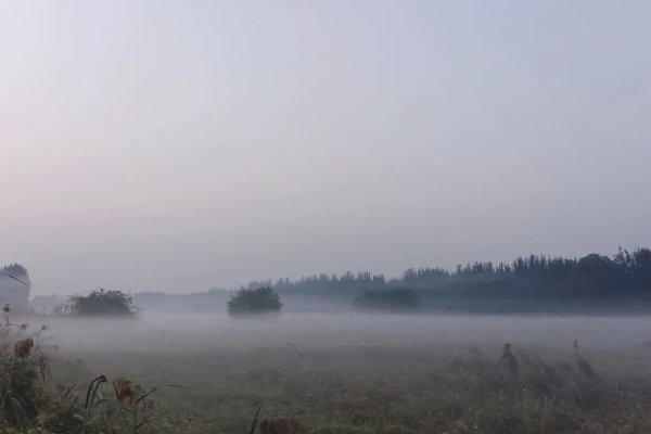 万全之策 忽而，已晚秋